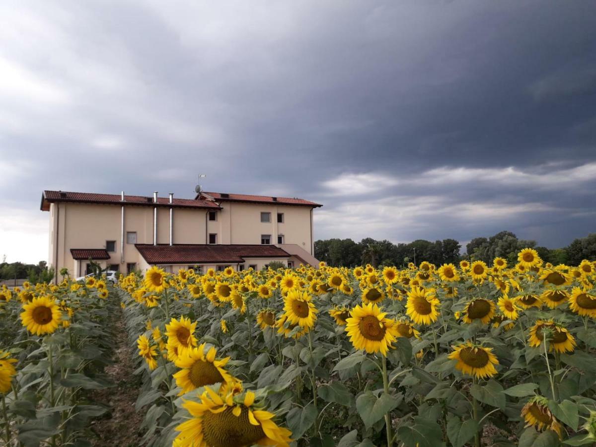 Bauernhof Al Cavaliere Pordenone