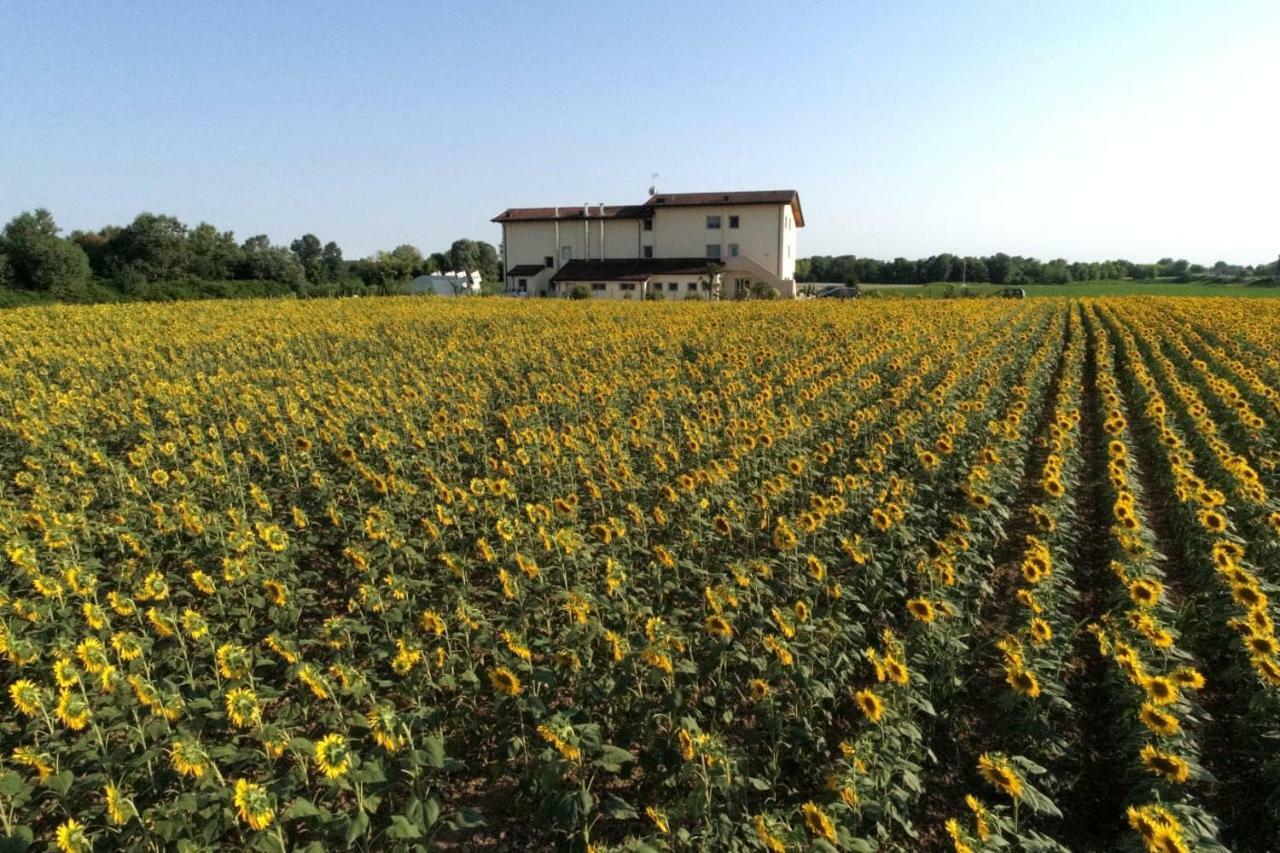 Bauernhof Al Cavaliere *